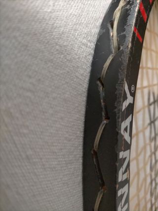 Raqueta Donnay Borg Pro