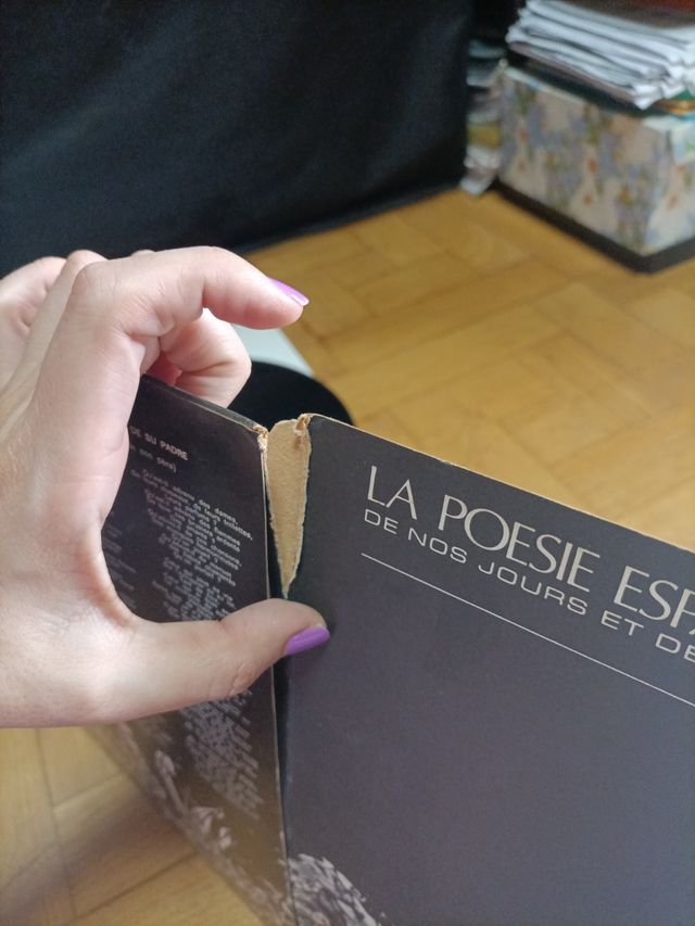 Vinilo Paco Ibáñez