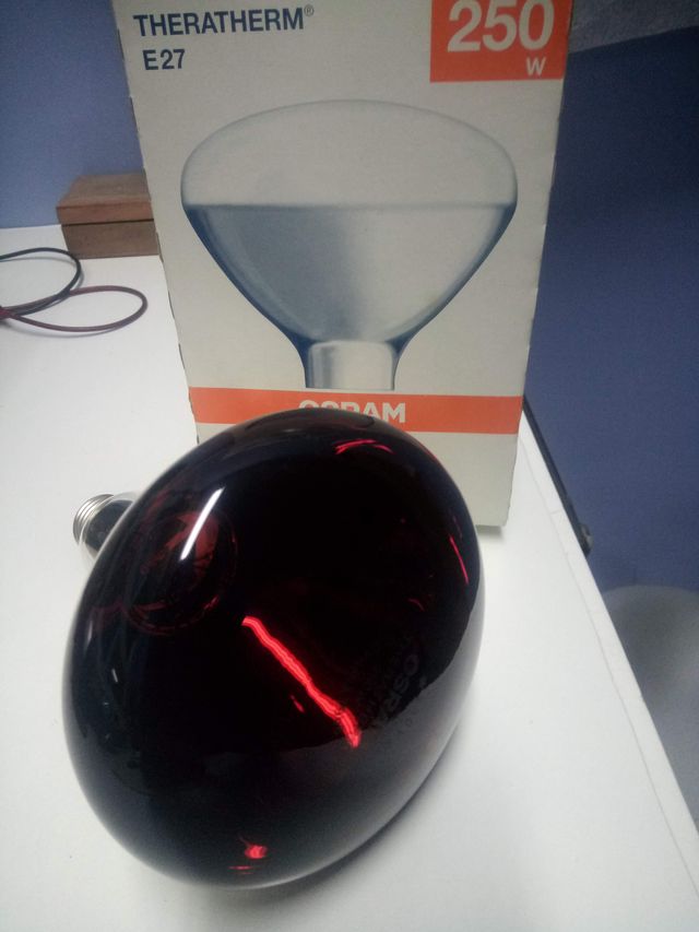 LÁMPARA DE CALOR