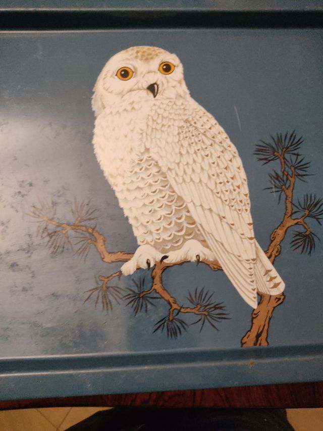 vassoio vintage Norma Bevis