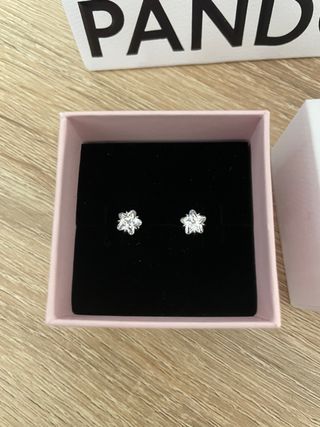 Pendientes Pandora