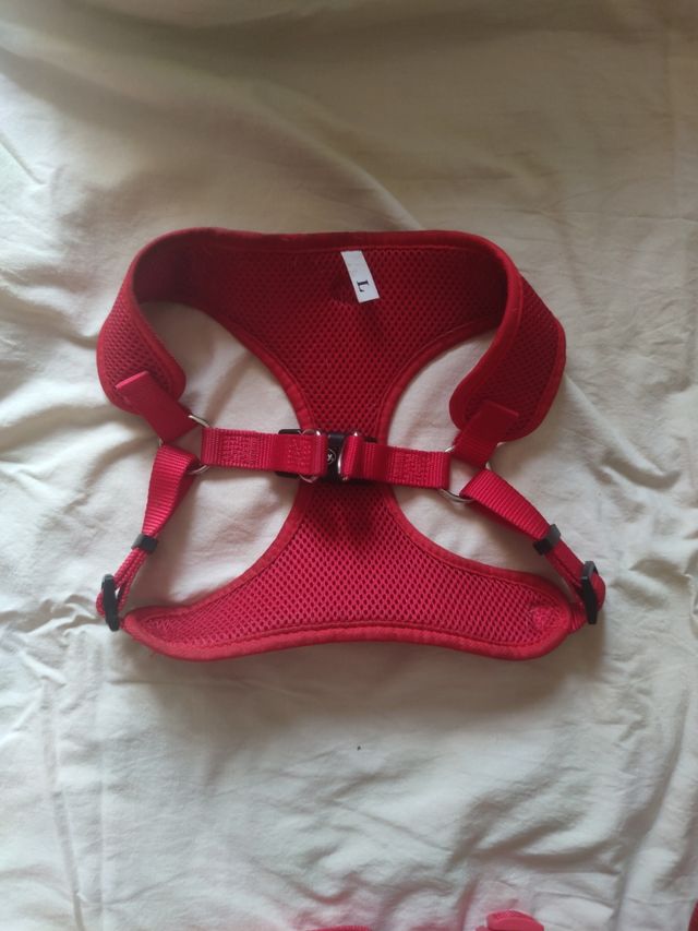 Pacchetto pettorina e guinzaglio