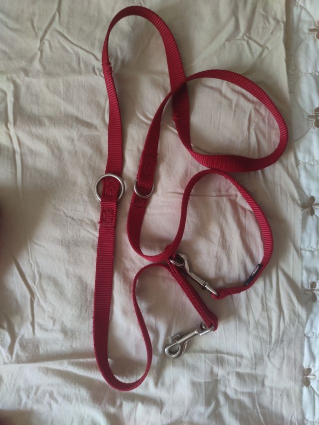 Pacchetto pettorina e guinzaglio