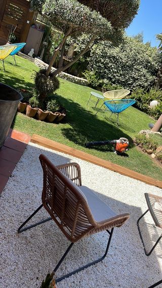 Jardin y terraza 