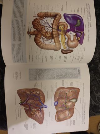 ATLAS ANATOMIA