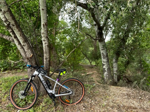 EBIKE CUBE Reaction Hybrid Perfonmance 500