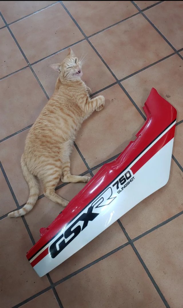 CACHA CÚPULA GSXR 88 90.