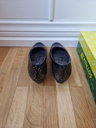 Zapatos Pitillos