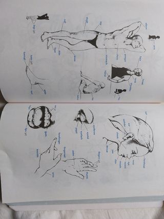 New Student's Dictionary