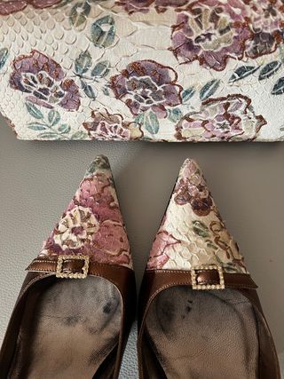 Zapatos y Bolso de piton 