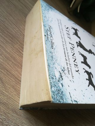 bajo la estrella polar Stef penney