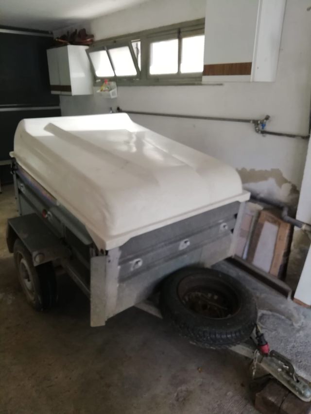 Remolque para perros 