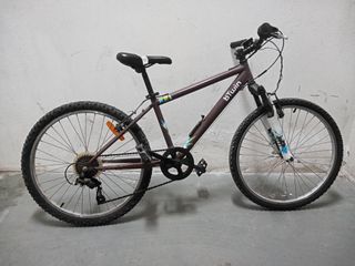 BICICLETA 20'