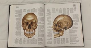 Atlas de anatomía humana 
