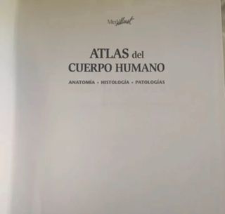 Atlas de anatomía humana 