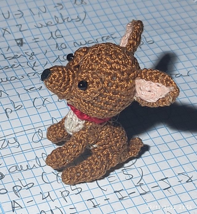 NANCY: perrito Chihuahua.