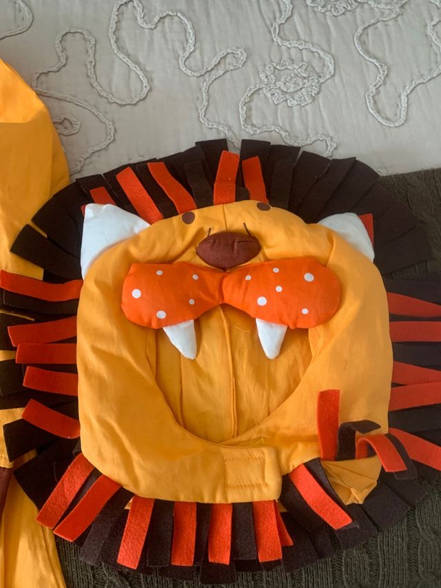 Disfraz de Leon niño imaginarium