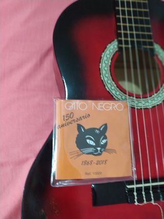 guitarra exp roja y negra