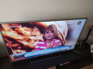 TV Panasonic Viera 49 pulgadas 