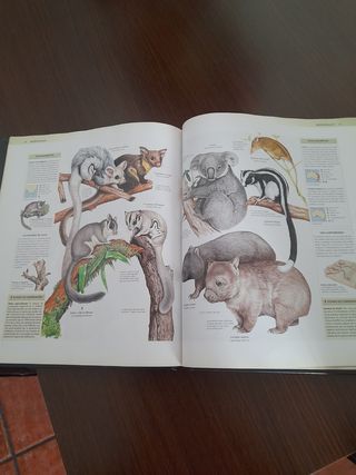 Libro de animales