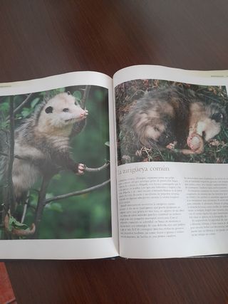Libro de animales