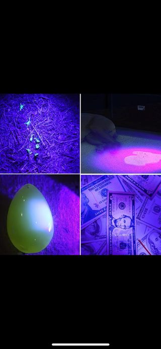 Linterna aluminio Led UV de 395 nanometros 