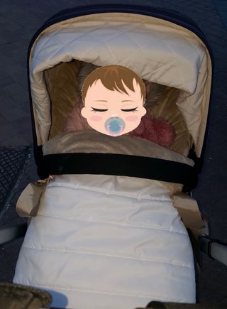 Carrito Bugaboo Camaleón 3
