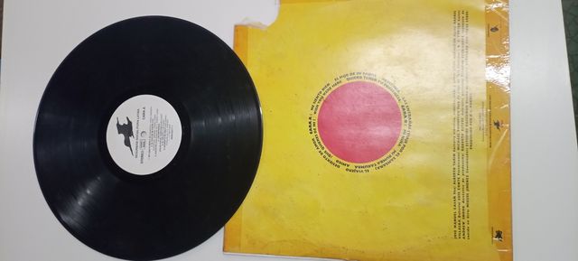 disco Vinilo seguridad social