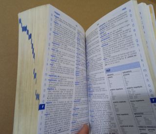 Diccionario esencial de la lengua española