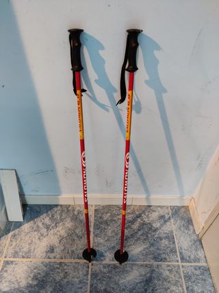 Bastones de esquí Salomon 95 cm.