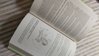 Libro recetas saludables