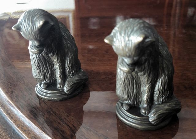 Pareja de gatos