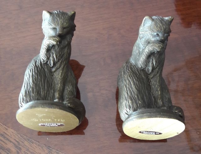 Pareja de gatos