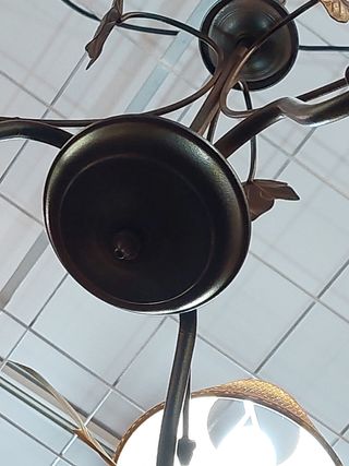 Lámpara de techo rebajada 50%