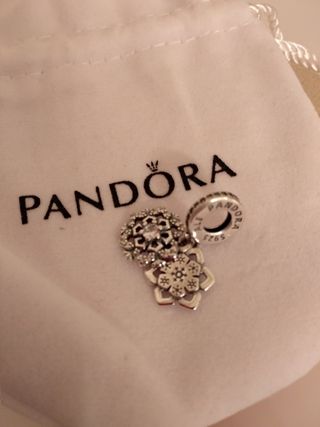 Charm para Pandora 