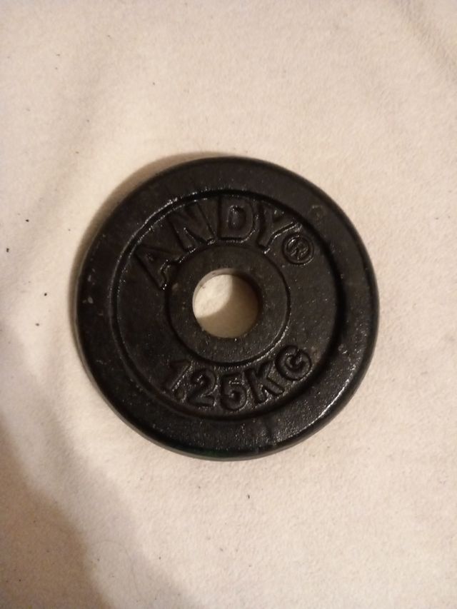 Pesas de disco de 1,25 KG