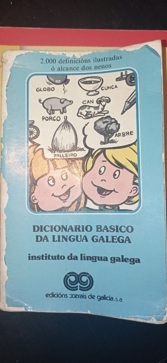 Diccionario Basico da Lingua Galega