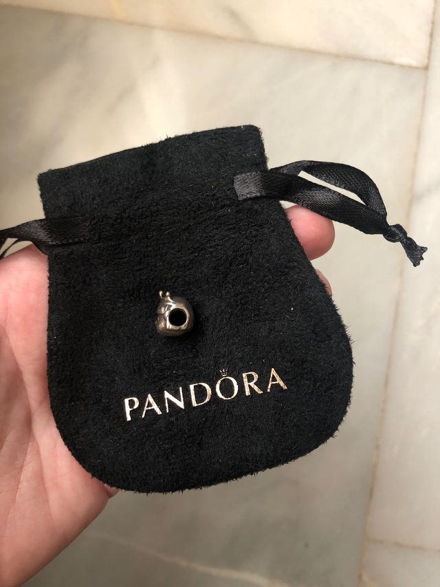 Charm Pandora