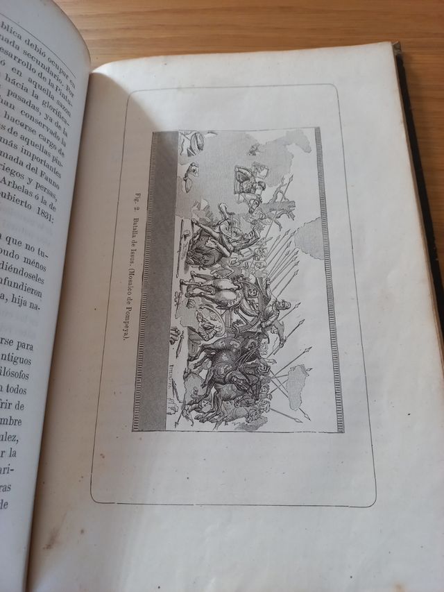 vecchi libri di Belle Arti e altro