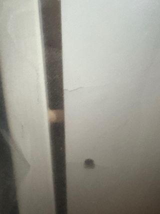 Cuna con colchón 