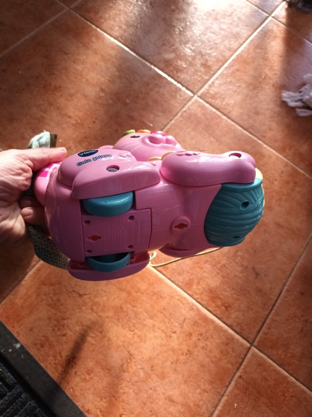 Gata gatuna de Vtech