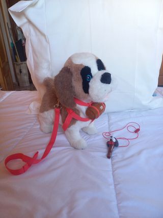 Perro San Bernardo