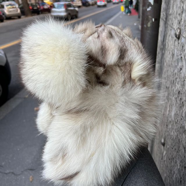 cappello in pelliccia di volpe vintage colbacco