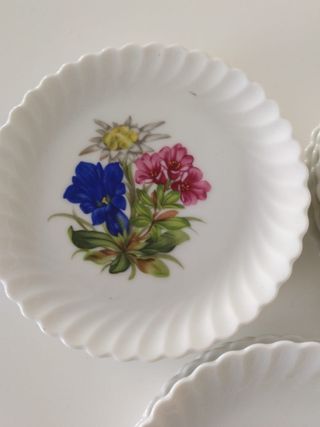 Lote Docena de platitos AK kaiser