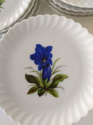 Lote Docena de platitos AK kaiser