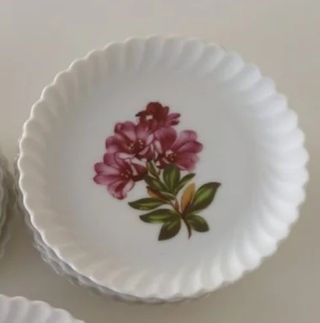 Lote Docena de platitos AK kaiser