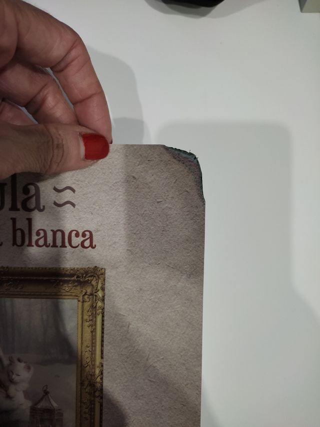 Libro Paula y su gata blanca