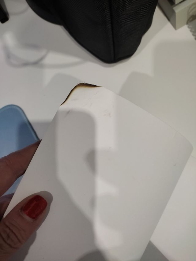 Libro Paula y su gata blanca