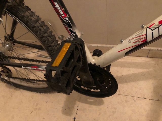 Bicicleta Boomerang Open 24