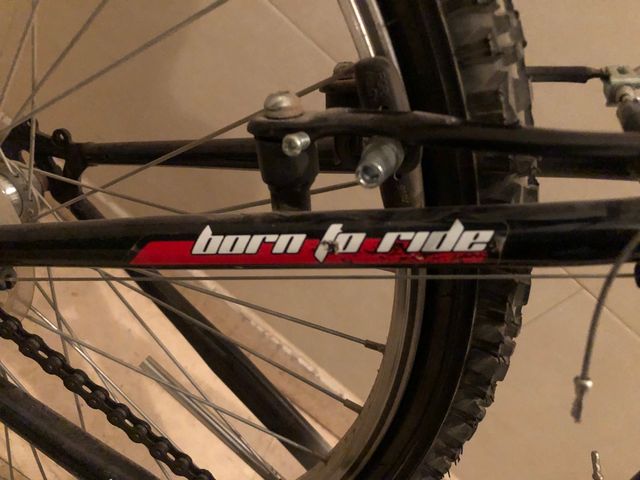 Bicicleta Boomerang Open 24